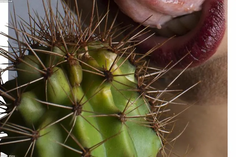 Natural remedies for dental abscess