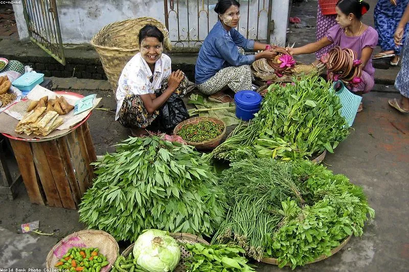 Natural remedies for amenorrhea with vitex, maca and hormone-balancing herbs