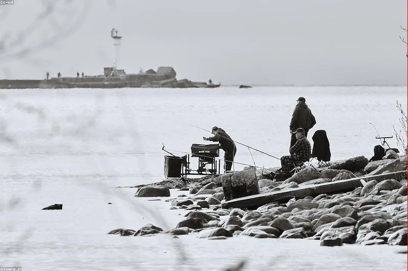 Social anxiety: natural remedies and management techniques