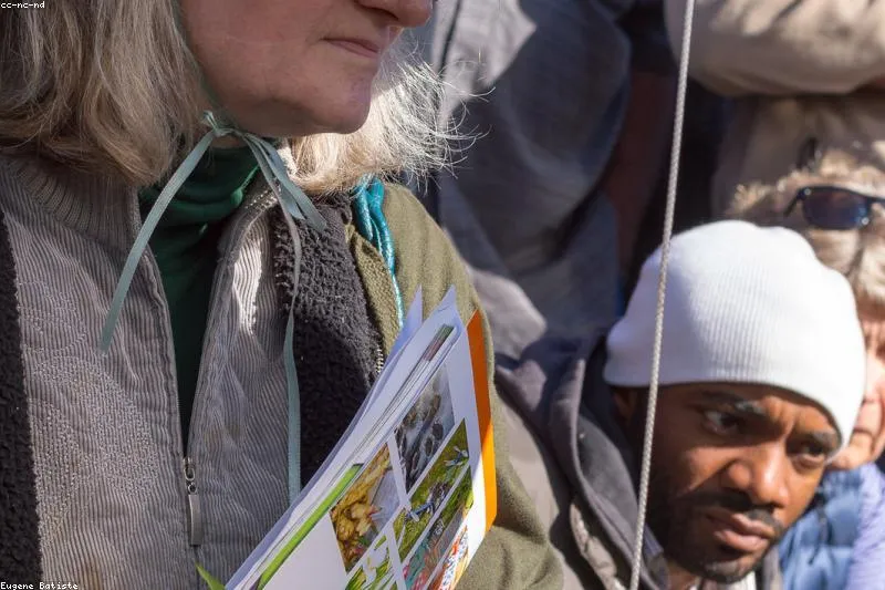 Natural remedies for osteoarthritis with herbs and poultices for joints