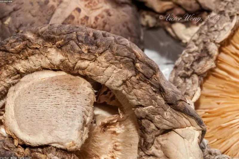 Leacuri naturale pentru bufeuri