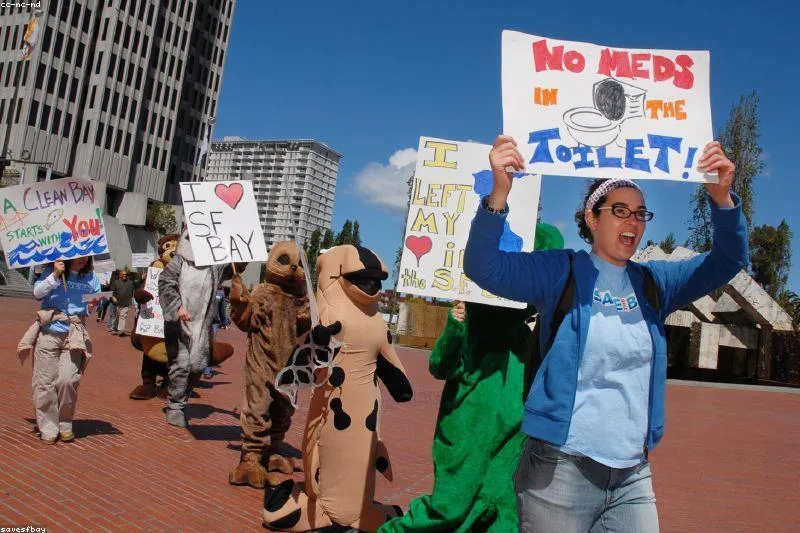 Leacuri naturale pentru deficiența de cupru cu ficat, fructe de mare, nuci, cacao și semințe