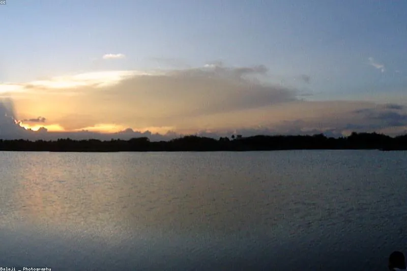 Natural remedies for vitamin D deficiency with sun exposure, fatty fish and egg yolk