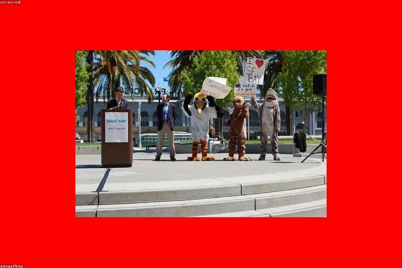 Natural remedies for zinc deficiency with oysters, pumpkin seeds and red meat