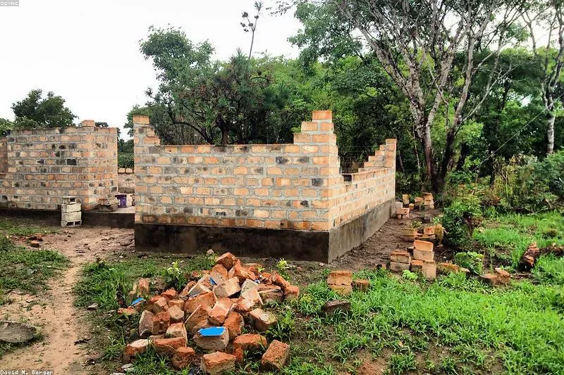 Leacuri naturale pentru disbioza intestinală