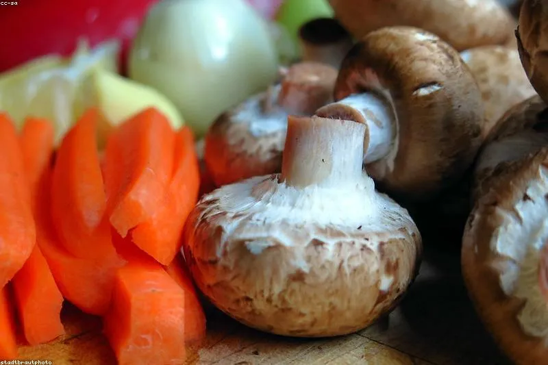 Natural remedies for dyslipidemia