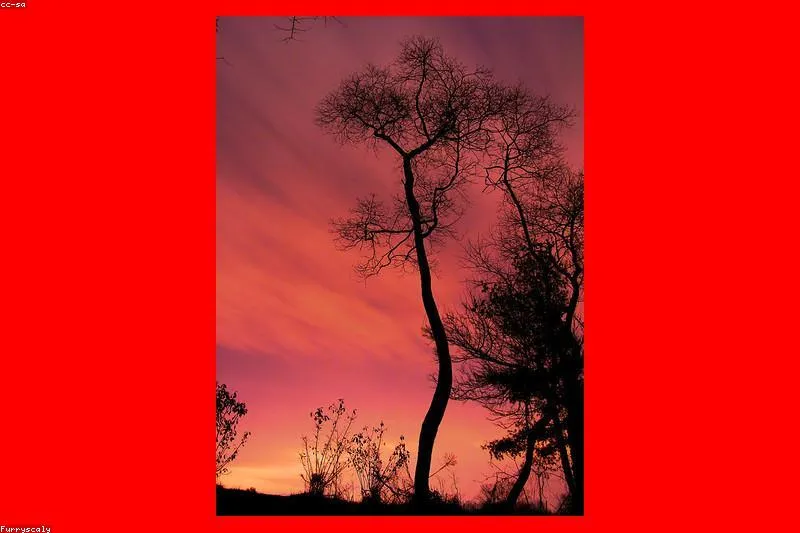 Avion în zbor văzut de la geam, simbol al aviofobiei