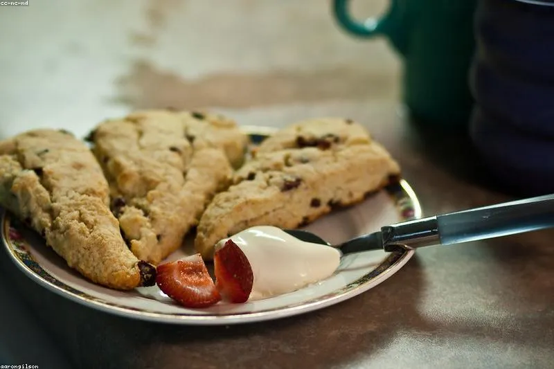 Hematuria blood in urine