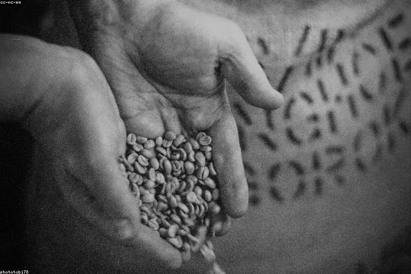 Leacuri naturale pentru tensiune arterială mică cu rozmarin și plante tonice