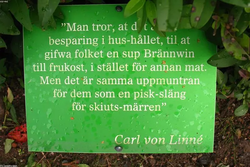 Leacuri naturale pentru hipotiroidism