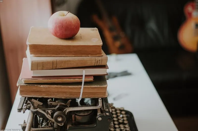 Leacuri naturale pentru imunitatea copiilor cu echinacea, propolis, cătină și miere