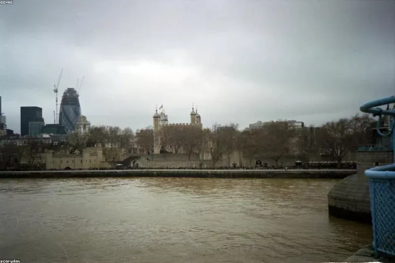 Remedii naturale pentru insolație cu apă rece și plante răcoritoare