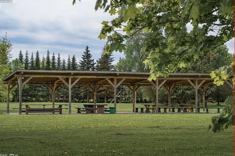 Leacuri naturale pentru intoleranța la lactoză