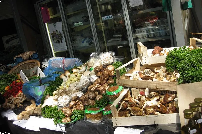 Leacuri pentru labirintită