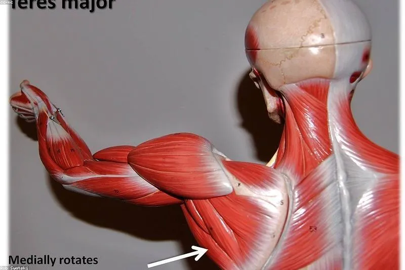 Lymphedema: daily care and natural support