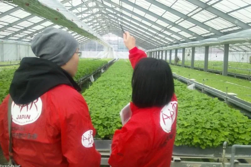 Recuperare naturală din sindromul post-COVID cu adaptogeni, vitamine și suport respirator