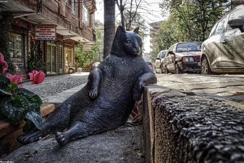 Sprijin natural pentru pacienții cu miastenia gravis