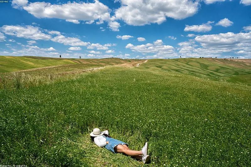 Leacuri naturale complementare pentru narcolepsie și cataplexie