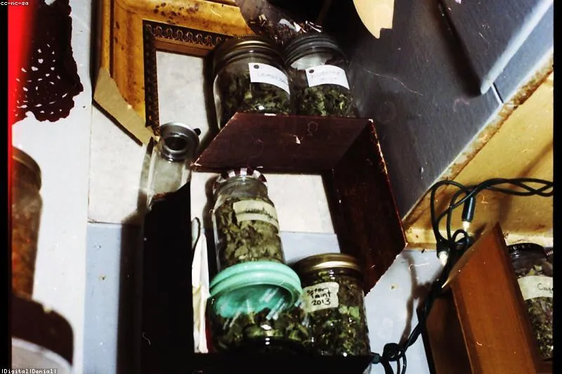 Natural remedies for nocturia with corn silk, horsetail and urological teas