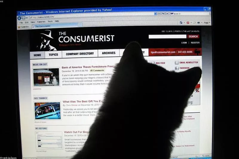 Leacuri naturale pentru ochi obosiți de ecran