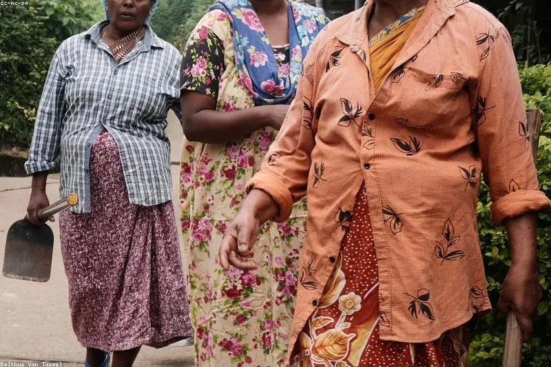 Natural remedies for PCOS with cinnamon, flaxseed and medicinal plants