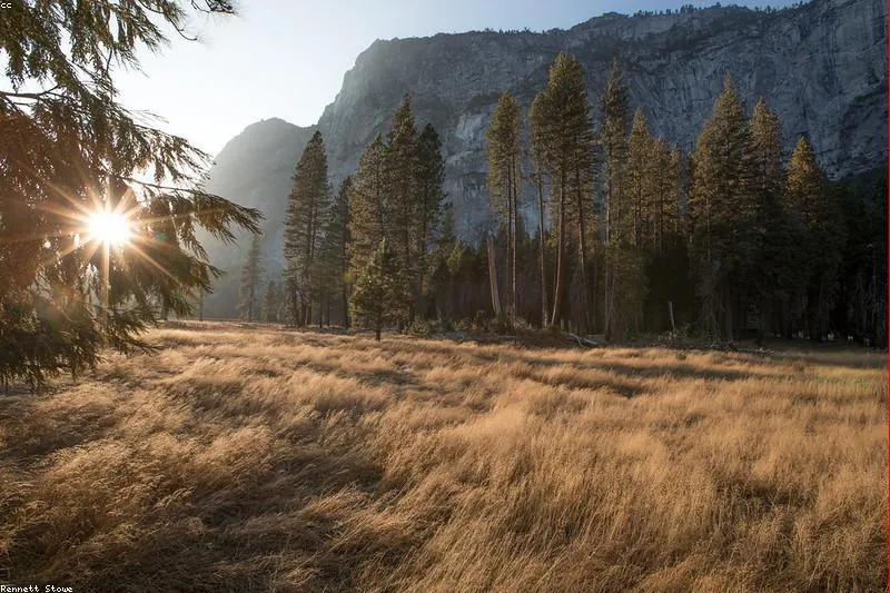 Suport natural pentru stres post-traumatic