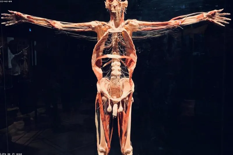 Sprijin natural pentru pacienții cu sclerodermie