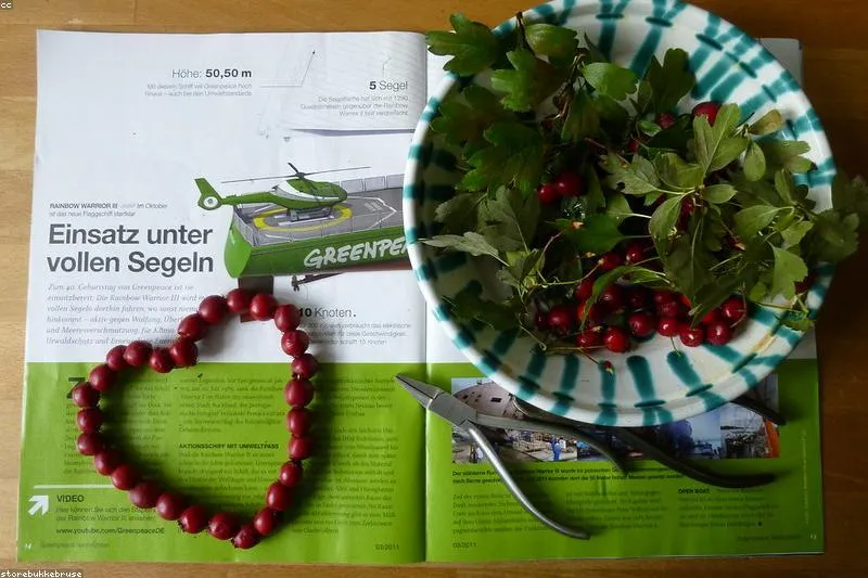 Natural remedies for tachycardia with hawthorn, motherwort and calming herbs