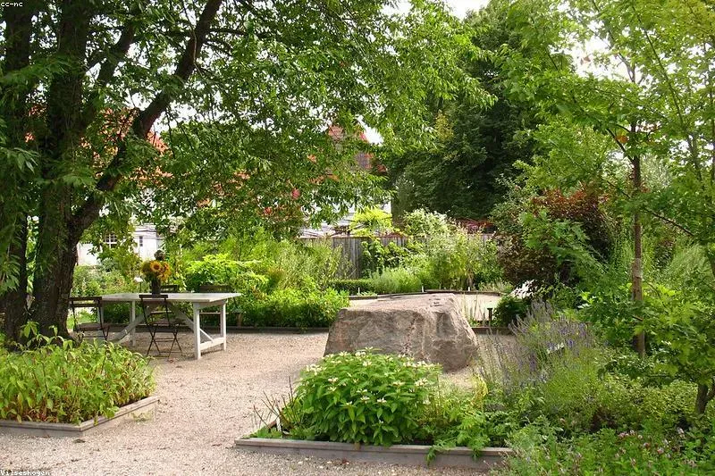 Leacuri naturale pentru tendinită