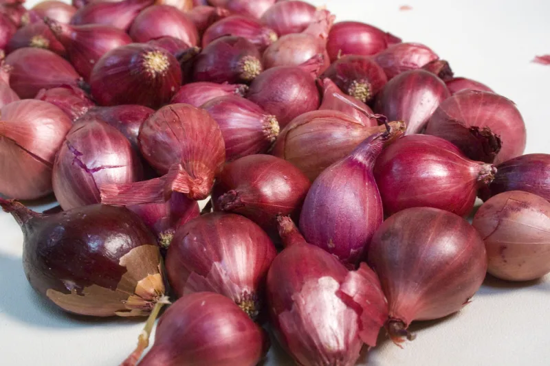 Pile of fresh whole red onions on a light surface