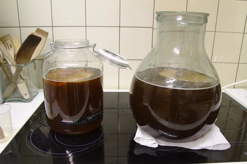 Două borcane de sticlă cu kombucha fermentând, cu cultura SCOBY plutind la suprafață