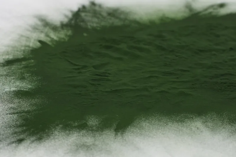 Pulbere de spirulină verde intens, fin măcinată