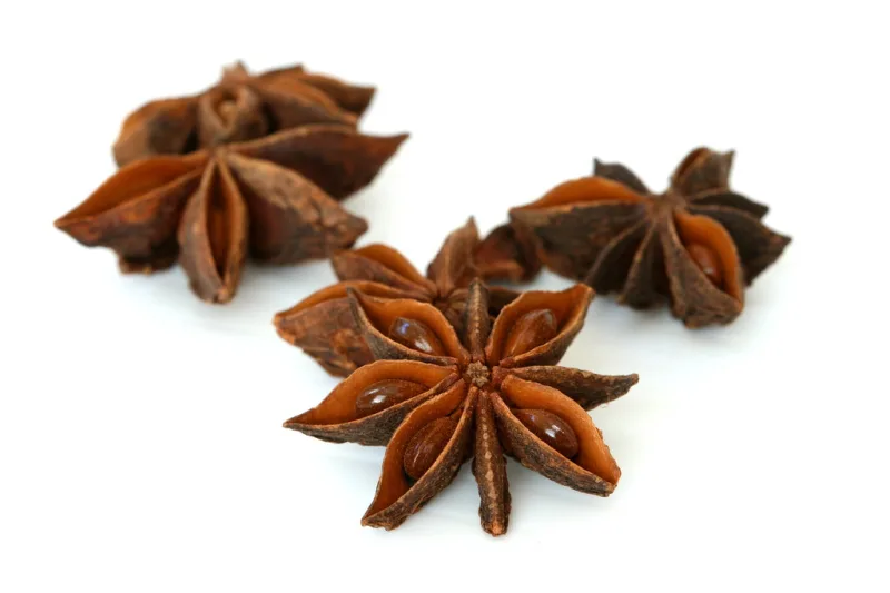 Star anise pieces on a white background, an aromatic spice used for digestion and breathing