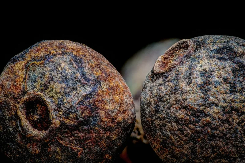 Dried allspice berries in close-up against a dark background