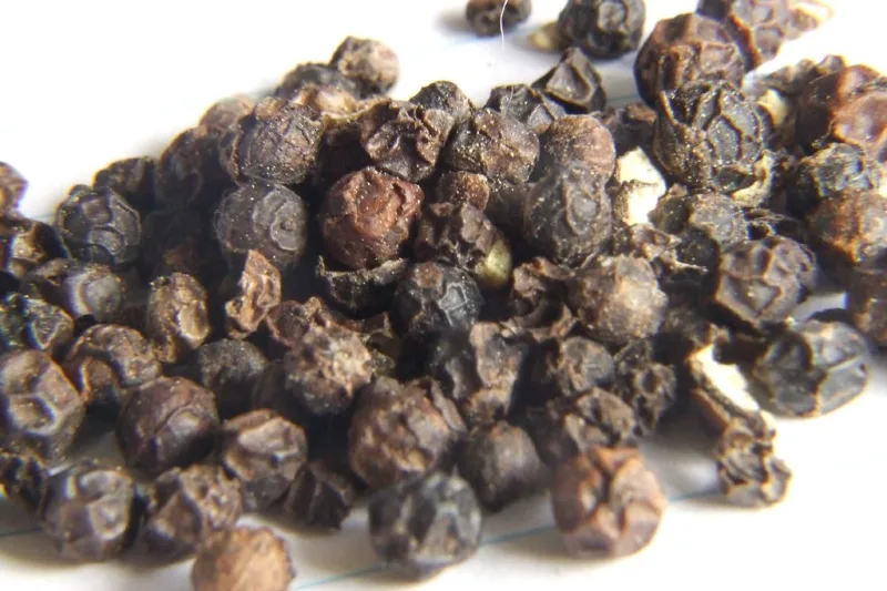 Fresh black peppercorns seen in close-up