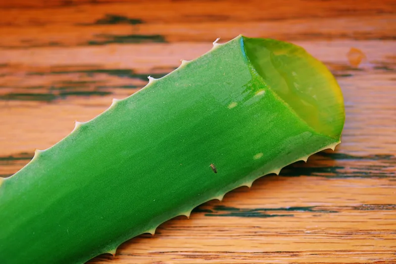 Frunză de aloe vera tăiată, dezvăluind gelul transparent, pe o masă de lemn