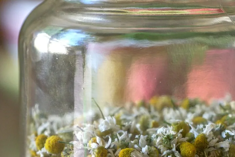 Linen cloth soaked in a medicinal herb infusion, prepared as a compress for application