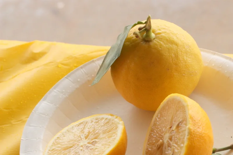 Bottle of bergamot essential oil next to fresh bergamot fruit