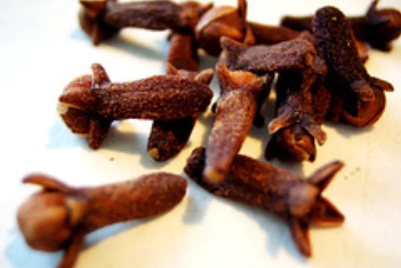 Whole dried cloves, the source of clove oil