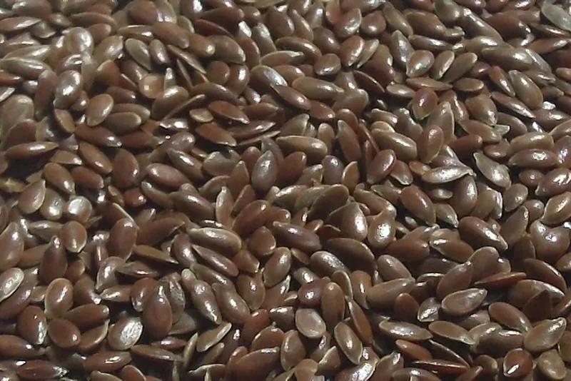 Brown flax seeds, the raw material from which cold-pressed flaxseed oil is made